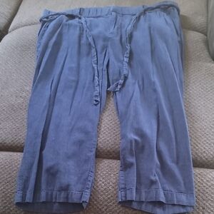 Blue Casual Pants